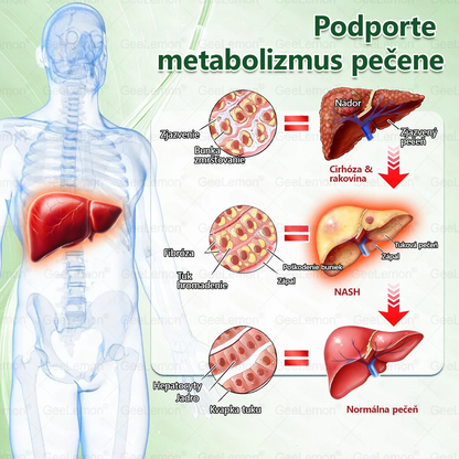 𝐆𝐞𝐞𝐋𝐞𝐦𝐨𝐧® 📌𝐆𝐥𝐮𝐦𝐚𝐬𝐞𝐭𝐢𝐝𝐚 8 v 1 Náplast s Nano Mikroihličkami na Chudnutie a Zdravie ✅ (Iba raz denne, viditeľné zmeny za 7 dní) Pre obezitu, kardiovaskulárne zdravie, cukrovku, spánkovú apneu, štítnu žľazu, črevné zdravie, kĺbové problémy a ďalšie 💪