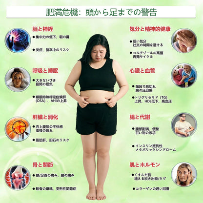 Slim Latte®＆NAD+ 8-in-1 ナノ強化フォーミュラ【アップグレード版】内臓脂肪 / 肥満 / 糖尿病 / 睡眠時無呼吸 / 関節ケア / 肌のたるみ 集中サポート